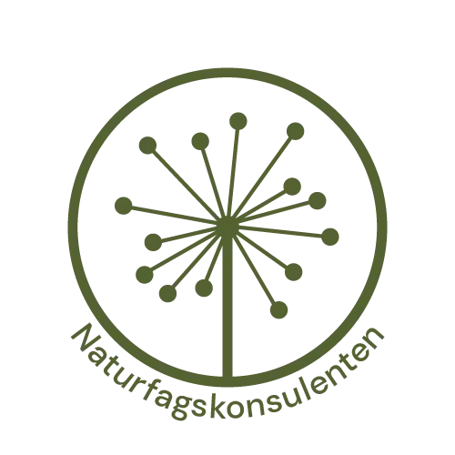 Naturfagskonsulenten logo 1