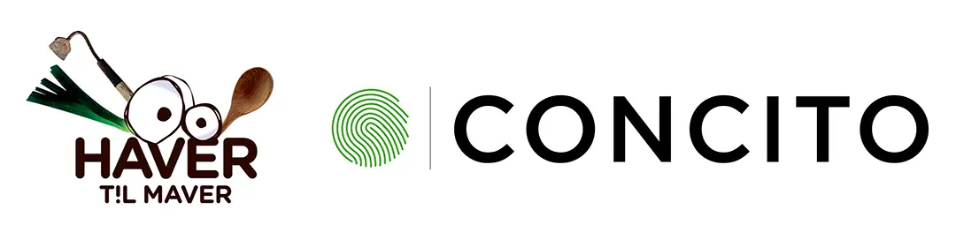 CONCITO logo 1