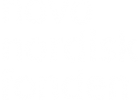 Novo Nordisk Fondens logo 300px